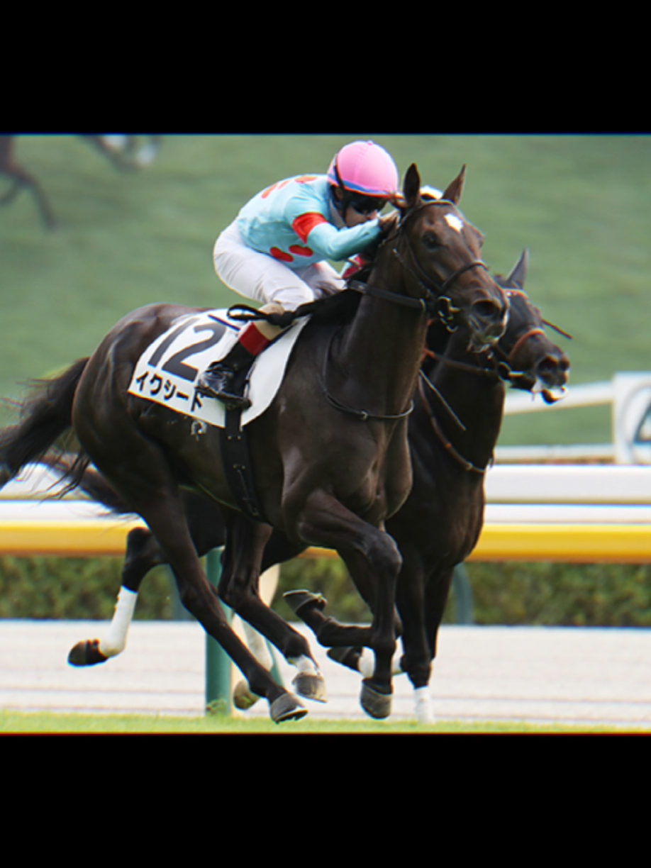 Exceed adik kandung equinox memenangkan debut race nya hari ini🙌 calon bintang👍 #exceed #equinox #umamusume #umamusumeprettyderby #racehorse 