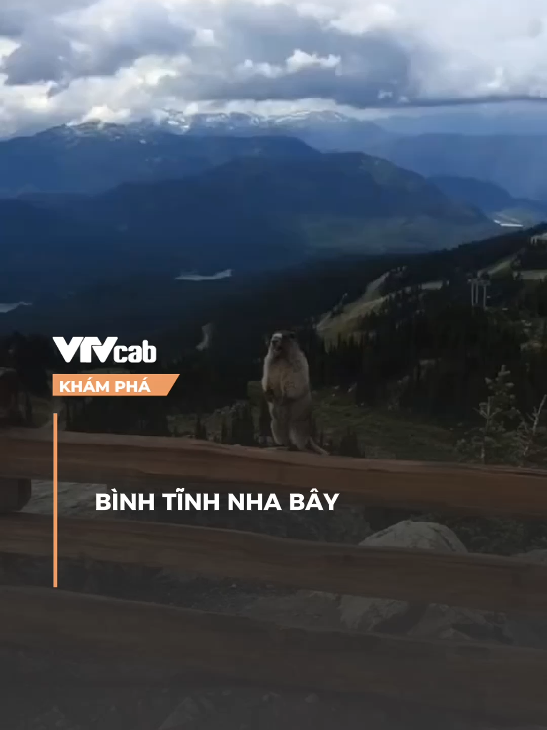 bình tĩnh nha bây  #khampha #vtvcabkhampha #online #vtvcab #nvh