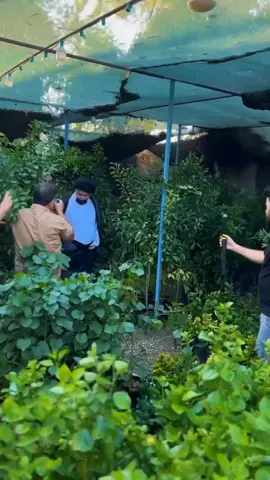 #السيد_مقتدى_للصدر #مقتدى_الصدرأعزه_الله #التيار_الوطني_الشيعي🇮🇶✌🏻 #النجف الاشرف القائد الصدر #سرايا_السلام_لَوٌآء_315_314_313_ 