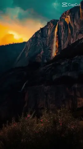 #المشاهير____التيك___توك #الاكلات #مشاهدات #االمشاهير 