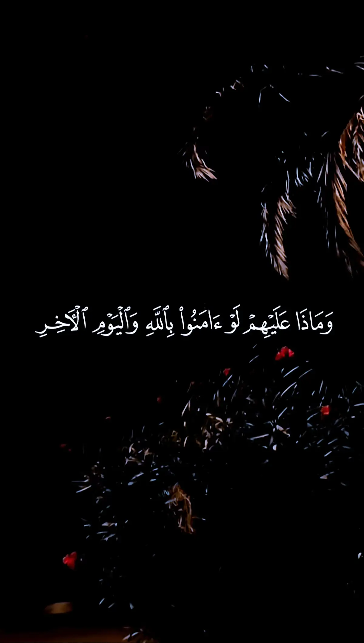 #القران_الكريم 