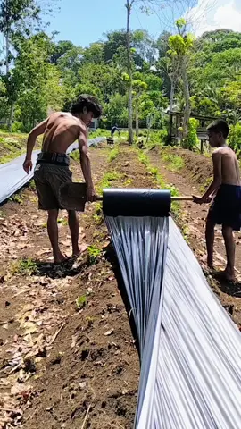 hidup itu murah yang mahal itu gengsi
