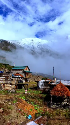 Lek Dingha Humla #thathumliguy #viraltiktok #viral #humla #tiktok 