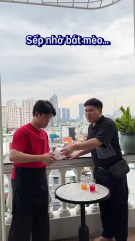 Con gì á chứ không phải con mèo sếp ơi 😥#phucbinhyenofficial #phucbinhyen #teamphucsyno 