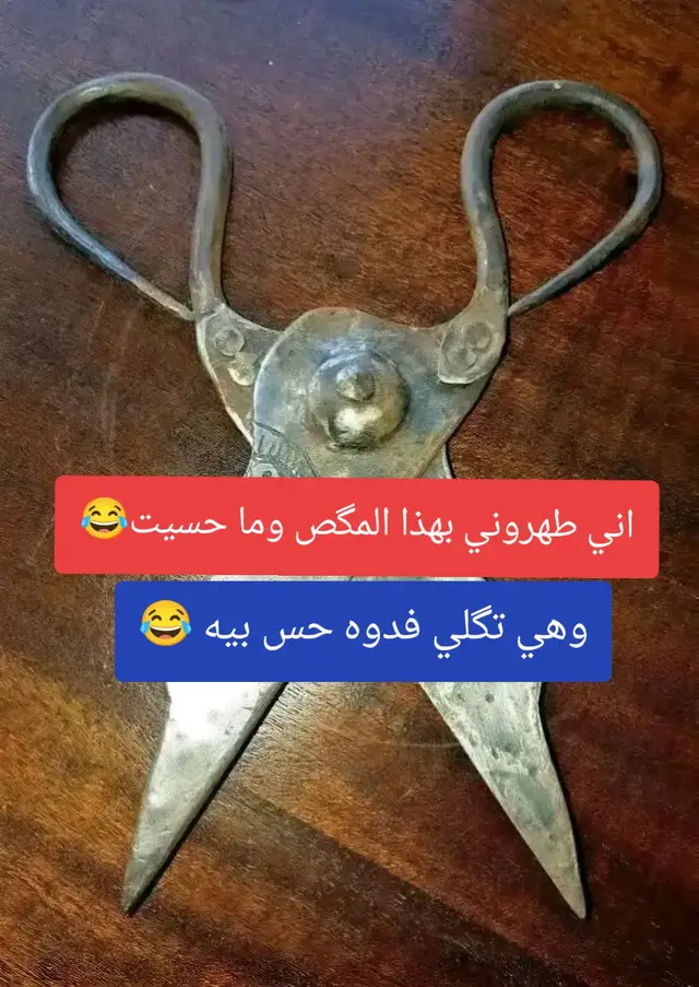 #شعب_الصيني_ماله_حل😂😂 #😂😂😂 