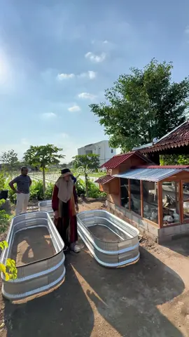 yang tertarik dengan raised bednya bisa DM ya🤭