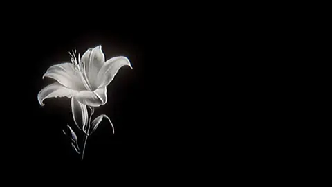 ازت متنفرم!