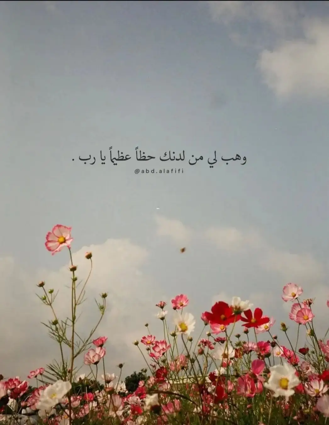 ##يارب_العالمين🙏 