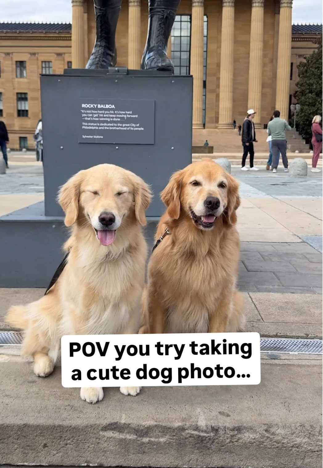 Never miss an opportunity to spread smiles 💛 #dog #spreadsmiles #goldenretrieverlife