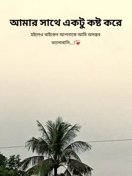 আমার সাথে একটু কষ্ট করে হইলেও থাইকেন আপনাকে আমি অসম্ভব ভালোবাসি..!❤️‍🩹 #fyppppppppppppppppppppppp #fyp #capcut #foryou #foryoupage 