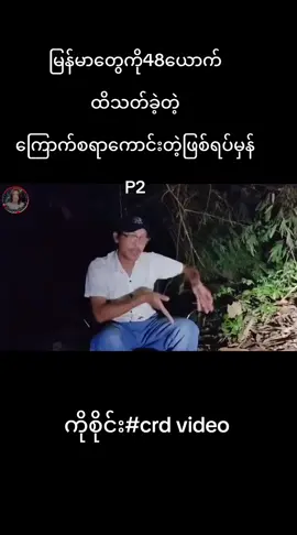 #ရောက်ချင်တဲ့နေရာရောက်👌 #သရဲ #ဒီညလာမယ် 