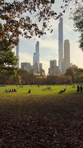 NewYork🇺🇸 #newyork #usa #foryou #fyp #reels 