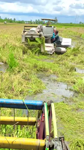 #thinhhanh2025 #xuhuong #xuhuongtiktok #maycatlua #dc105x #105xขอนแก่นทีมงานหนุ่มรถเร่ #maycatluavietnamtuche120 