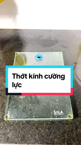 Thớt kính cường lực. #thớt #xuhuong #thotkinhcuongluc #phongphureview @Phong Phú Trải Nghiệm 