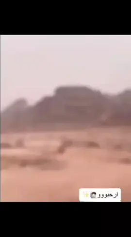 #متابعه_ولايك_واكسبلور_احبكم 