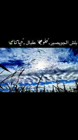 #تصميم_فيديوهات🎶🎤🎬 #تصويري_احترافي_الاجواء👌🏻🕊😴 #متابعه_ولايك_واكسبلور_احبكم #مشاهير_تيك_توك #مشاهير_تيك_توك  @SALEM |سالم برو  @أستوري 💚  @𝒁𝒊𝒅𝒂𝒏𝒆𝑴𝒐𝒉𝒂𝒎𝒎𝒅 @ستوريات | Storyat 