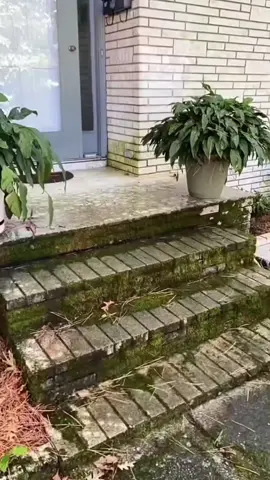 Satisfying Cleaning #pressurewashing #pressurecleaning #asmr #signcleaning #clean 