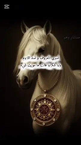 ⚔️تميمية⚔️ 👑🤍 #اكسبلور #مستشار_وهم #تميمية #___tamimia0007___ #⚔️تميمية⚔️ 
