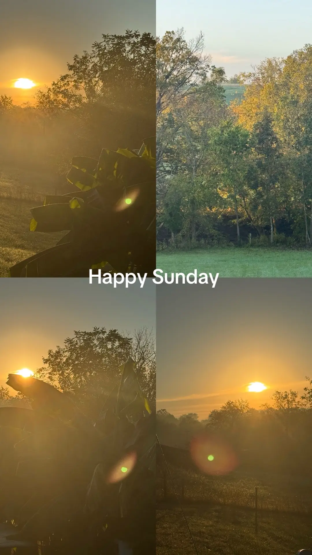 Happy Sunday to you all. #FYP #gen❌club #over50club #sundayfunday 
