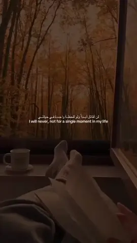 ‏#دويتو مع @maigamalelsaid #creatorsearchinsights 