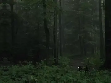 يا الله يا الله #قران_كريم #قرآن #قرأن_كريم_راحة_نفسية #عبد_الباسط_عبد_الصمد #نامق_مصطفى 