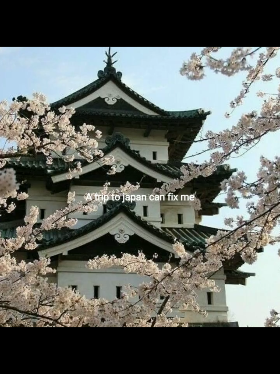 🥹✨Yeah bbz😩🇯🇵#japan #japantiktok #fypage #fyppppppppppppppppppppppp #viralvideo @TikTok @TikTok Bangladesh 