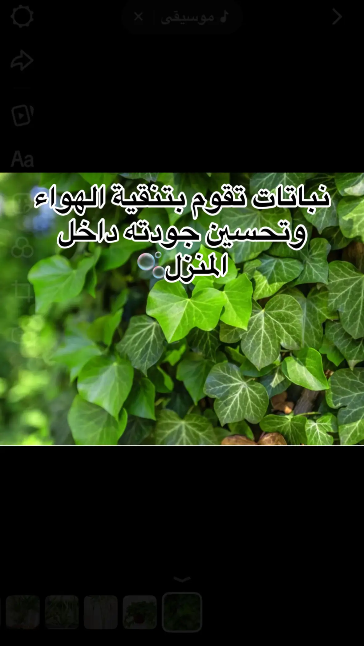 زراعة   #نباتات   #نصائح_زراعية   #زراعة_سهلة   #نباتات_منزلية   #ازرع_كل_يوم                                