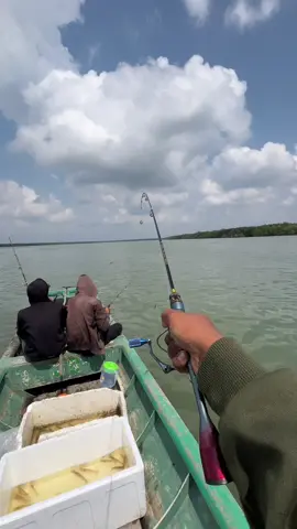 katanya mancing ikan di muara sungai besar, ikanya juga banyak 