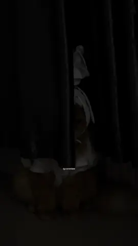 Punya babu gil*, bisa-bisa nya aku di jadikan pocing miaw 👻 #penampakanpocong #duniamalam #catsoftiktok #viralvideo #fypviralシ  