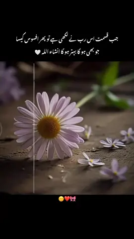 InshaAllah❤️#creatorsearchinsights #fyp #foryou #unfreezemyacount🥺 #views 