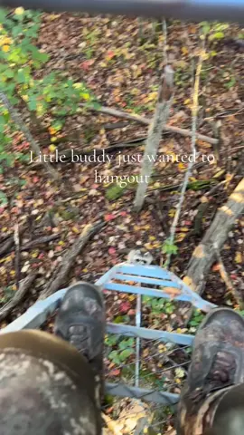 I would have shared my snacks, but I ate them all. #racoon #deerhunting #huntadk #girlswhohunt #ladderstand