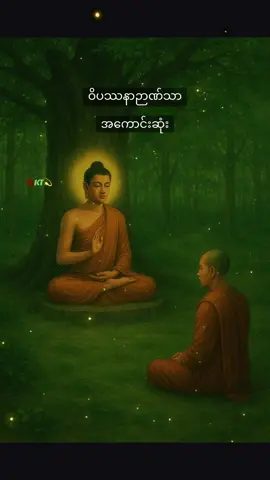 🌱 ဝိပဿနာ ဉာဏ် 🌱