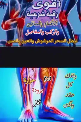 #أقوى_رقية_شرعية_الأقدام_والساقين_والركب_وتبطل_السحر_المرشوش_ والعين👁_والمس👹وتفك_كل_عقد_وأذى
