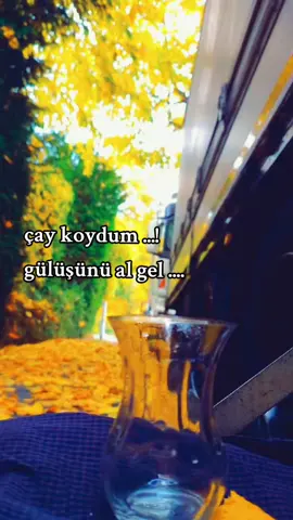 #çay #almanya🇩🇪 