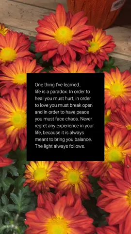 A paradox is a statement, situation, or idea that appears to be self-contradictory or logically impossible but may contain a deeper truth or a reconciled conflict upon closer examination. #lifeisaparadox #life #lifeisworthliving 