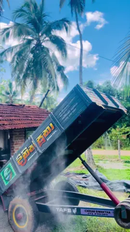 පොඩි ඇච්චෝ බැච්චෝ දගලාන🤤#foryour #fouryoupage #viral #tending #fyp 