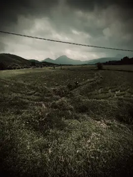 站在火上才知道谁是君子，站在金堆上才知道谁是小人……！”Đứng trên lửa mới biết ai là quân tử,đứng trên đống vàng mới biết ai là tiểu nhân..!”