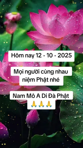 Nam Mô A Di Đà Phật 
