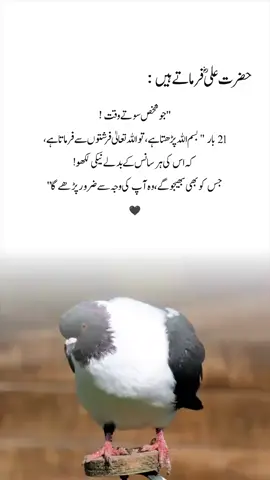 #pleez_tiktok_viral_video_pleez_foryo #🖤❣️❣️❣️🖤💥💫🖤🖤 #foryourpage #💔💔 