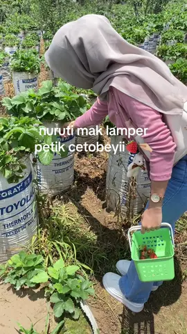 😫🤦‍♂️ #lamongan24jam #trendviral #fyp 