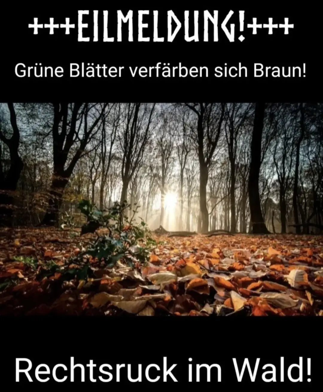 Huiiii 🍁🍂