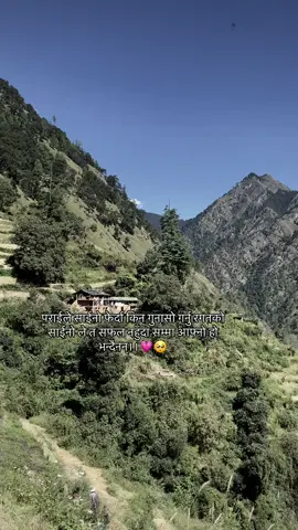 पराईले साईनो फेर्दा किन गुनासो गर्नु रगतको साईनो ले त सफल नहुँदा सम्मा आफ्नो हो भन्दैनन्।।💗🥺#fyp #everyone #repost 
