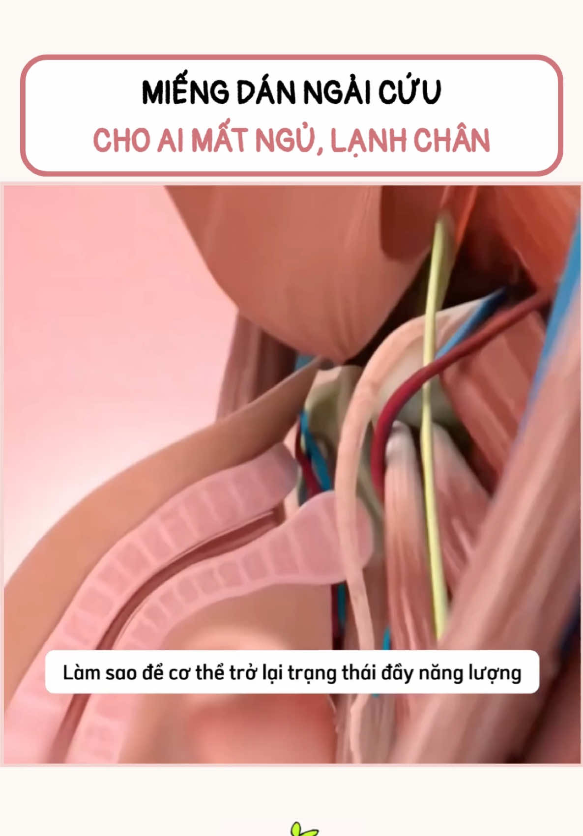 Hộp 50 miếng dán thải độc ngải cỨU #xuhuong #thaidoccothe #miengdanngaicuu #miengdanngaicuuthaidoc