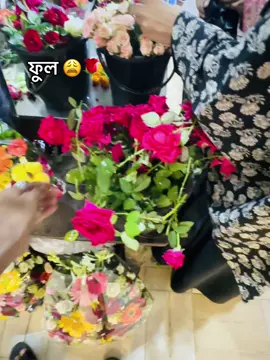 #কি ছিলো আমার ভুল , আজ দিল নাহ একটা গোলাপ ফুল🌹🌝#foryoupage #trending #viral?videotiktok😇😇 #fyppppppppppppppppppppppp 