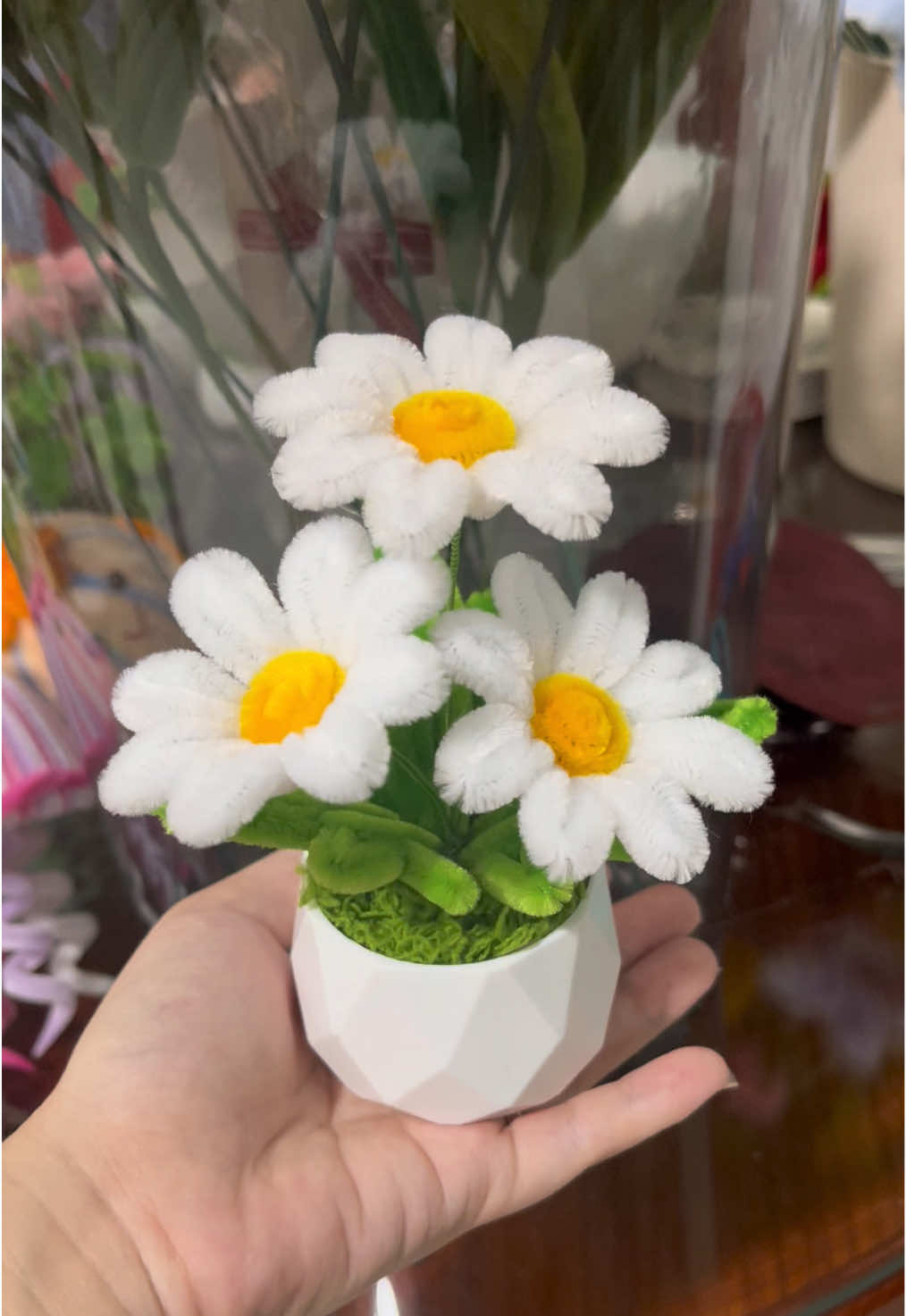 Một em cúc trắng mini để bàn quá là xinh iuu 😙 Trong giỏ hàng em có nha   #tiemhoatrongngo #hoakemnhung #xuhuongtiktok #foryou #viral 