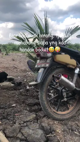 #vypシ #banjarbarubungas 