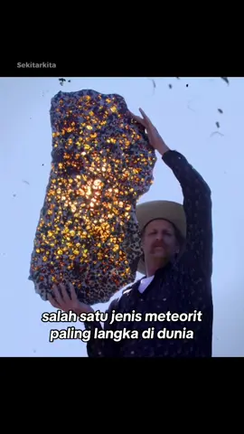 Penemuan Batu Meteor termahal di dunia #meteor #batumulia #faktaunik #faktamenarik #sekitarkita 