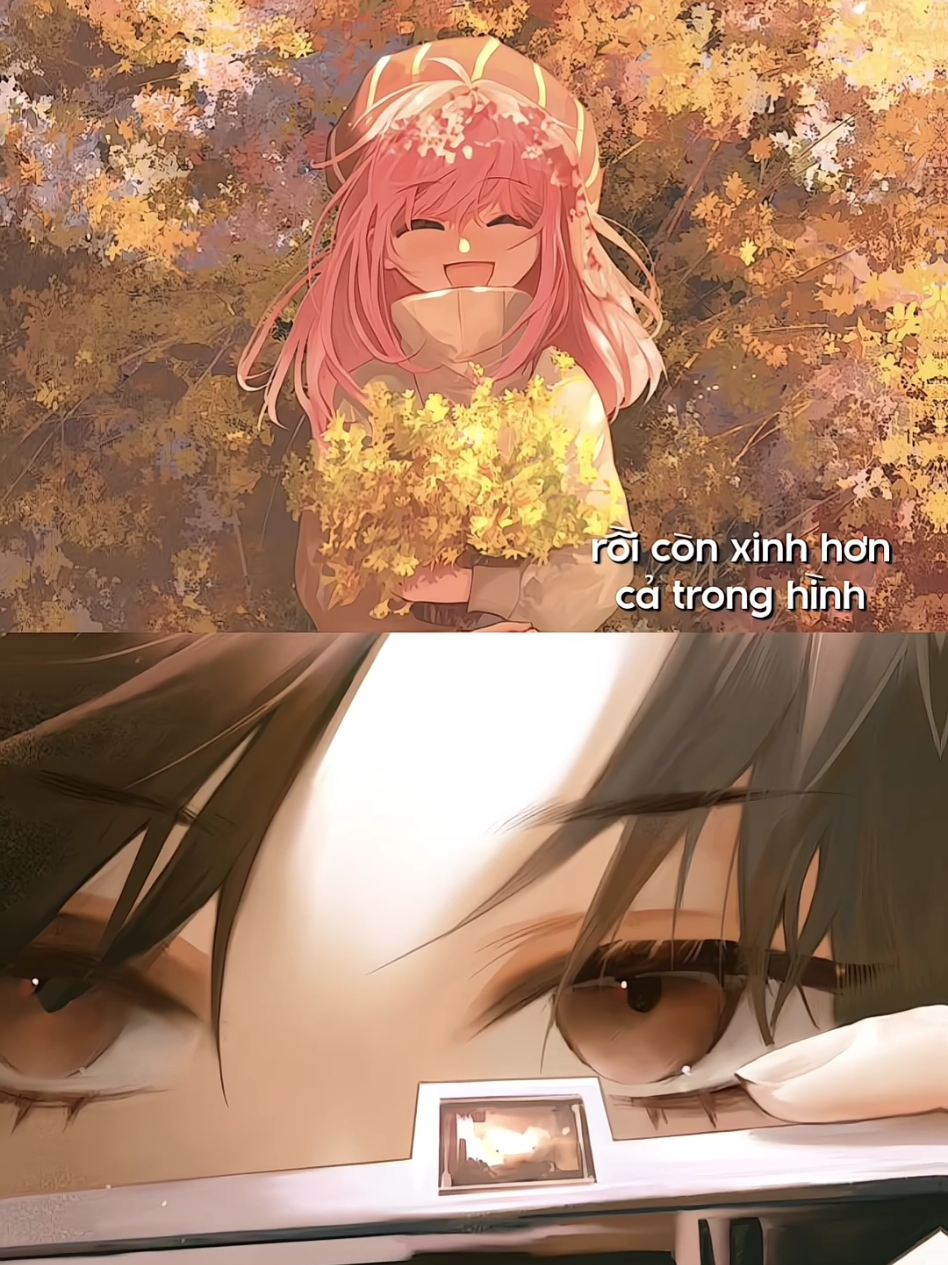 tình thíii #aerisgrp #seekersgr #roswieྀིྀི #swaninx  #keisy_grpᥫ᭡ #snowiegrp #knl_grp #meow_grp౨ৎ  #탕swtiegrpྀིྀི #yrsi_grp #kitwiiྀིྀི