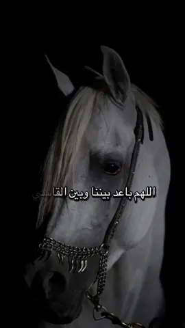 #أكسبلور_شعر_حكم_خواطر