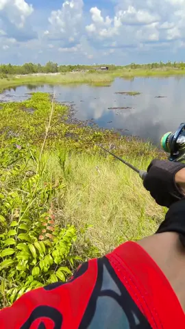 uncal terus sampai pegal #anglersindonesia #mancingmania #mancingtoman #fyp 